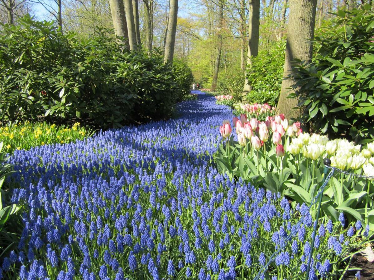 Jabaki Garden House Hoofddorp Exterior foto